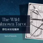 Five of Swords-荒野未知塔羅牌牌義