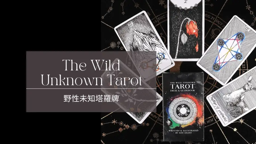 The Wild Unknown Tarot