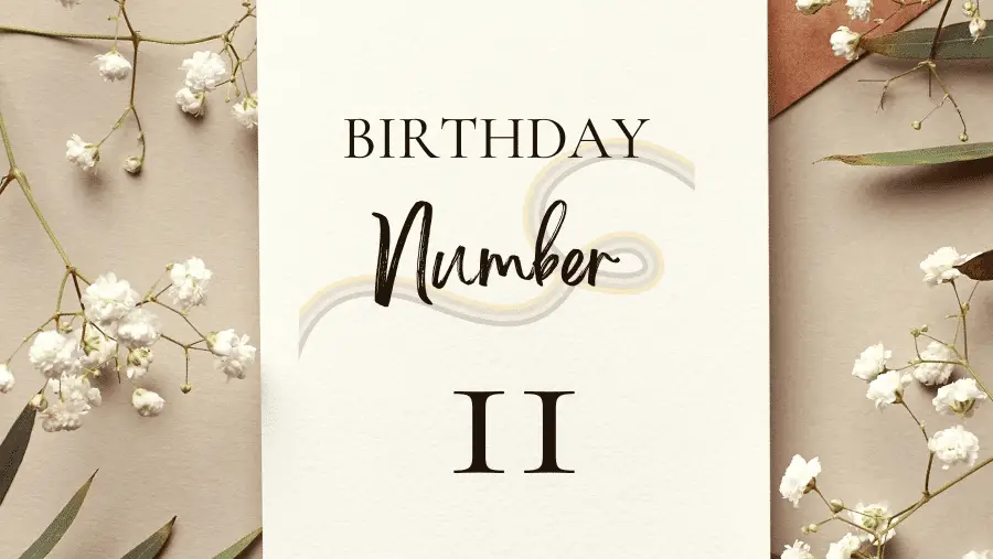 生日數字11