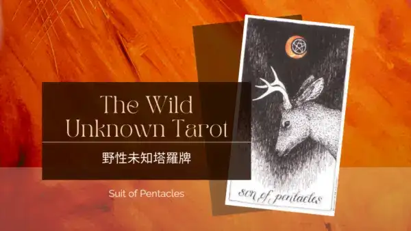 Son of Pentacles-荒野未知塔羅牌牌義