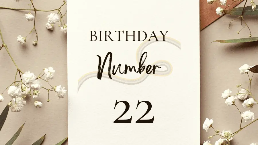 生日數字22