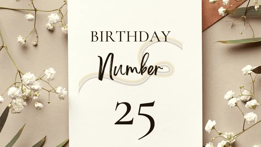 生日數字25