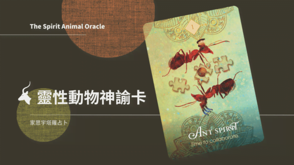 1. 蟻之靈 Ant Spirit