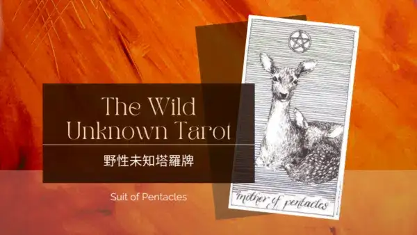 Mother of Pentacles-荒野未知塔羅牌牌義