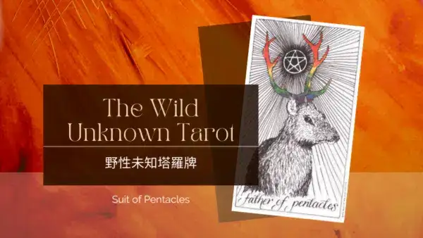 Father of Pentacles-荒野未知塔羅牌牌義