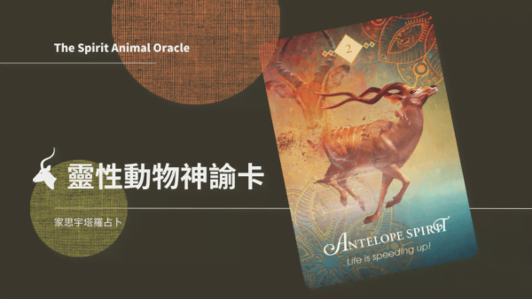 2. 羚羊之靈 Antelope Spirit