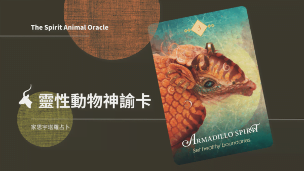3. 犰狳之靈 Armadillo Spirit