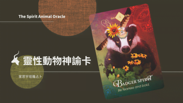 4. 獾之靈 Badger Spirit