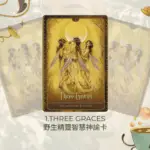 Three Graces-野生精靈智慧神諭卡