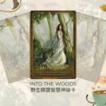 Into The Woods-野生精靈智慧神諭卡