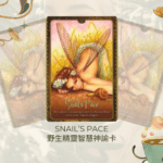 Snails Pace-野生精靈智慧神諭卡