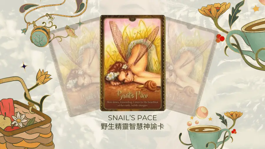 Snails Pace-野生精靈智慧神諭卡