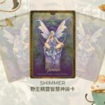 Shimmer-野生精靈智慧神諭卡