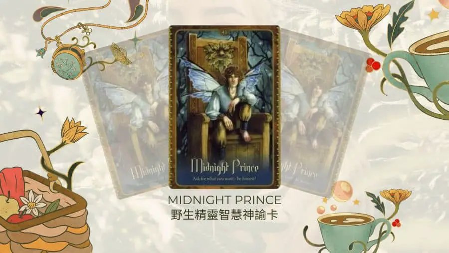 Midnight Prince-野生精靈智慧神諭卡