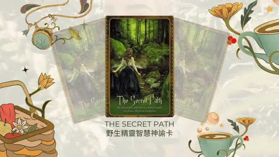 The Secret Path-野生精靈智慧神諭卡