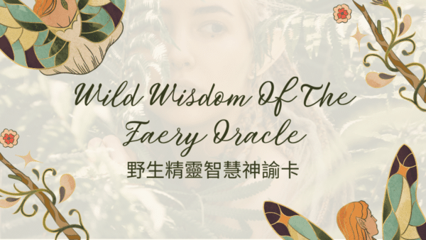 野生精靈智慧神諭卡牌義總覽