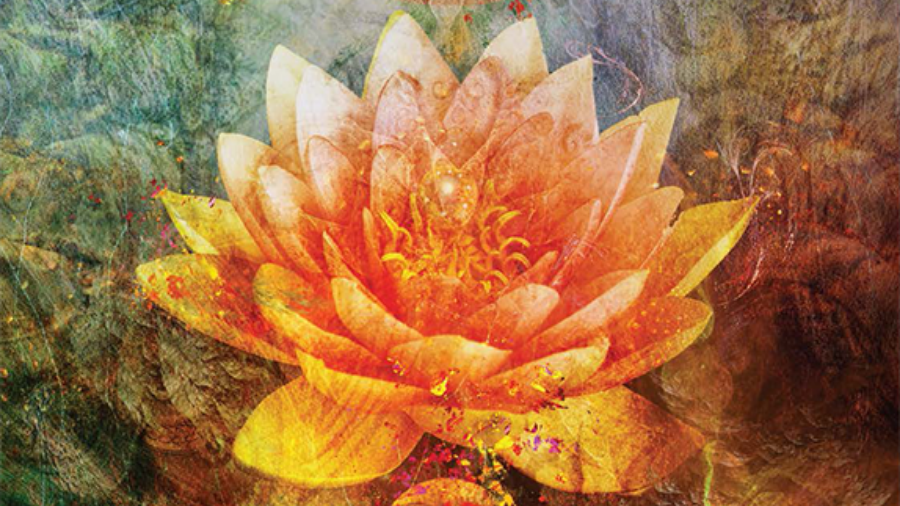 4 美好之路 The Beauty Way