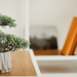 12星座每週塔羅運勢