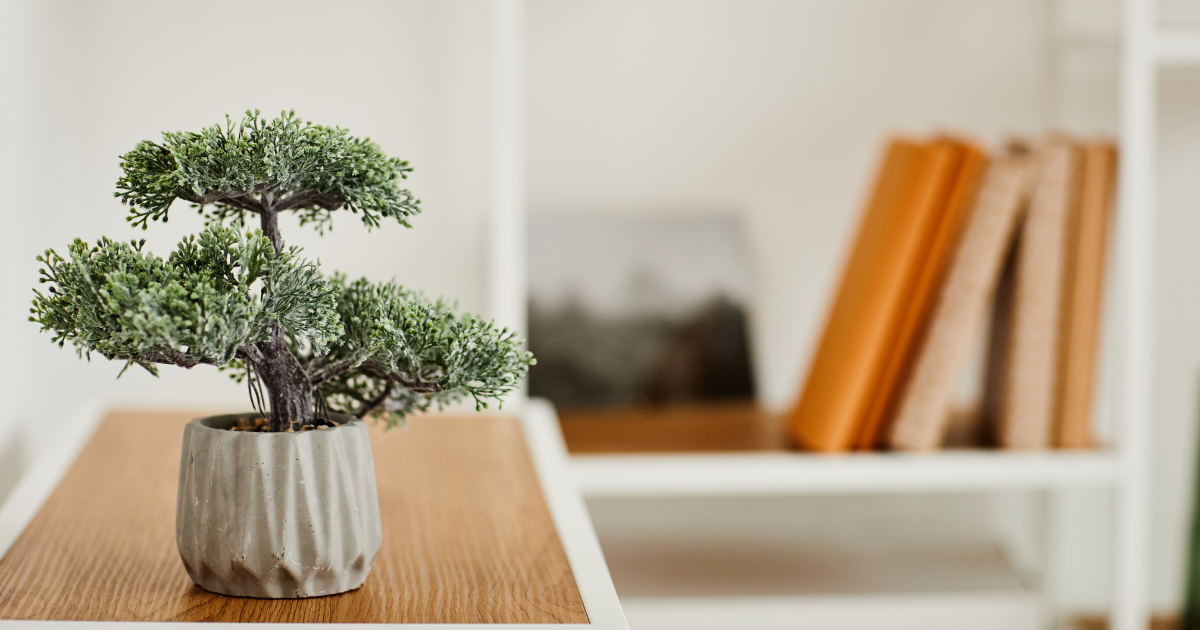 12星座每週塔羅運勢