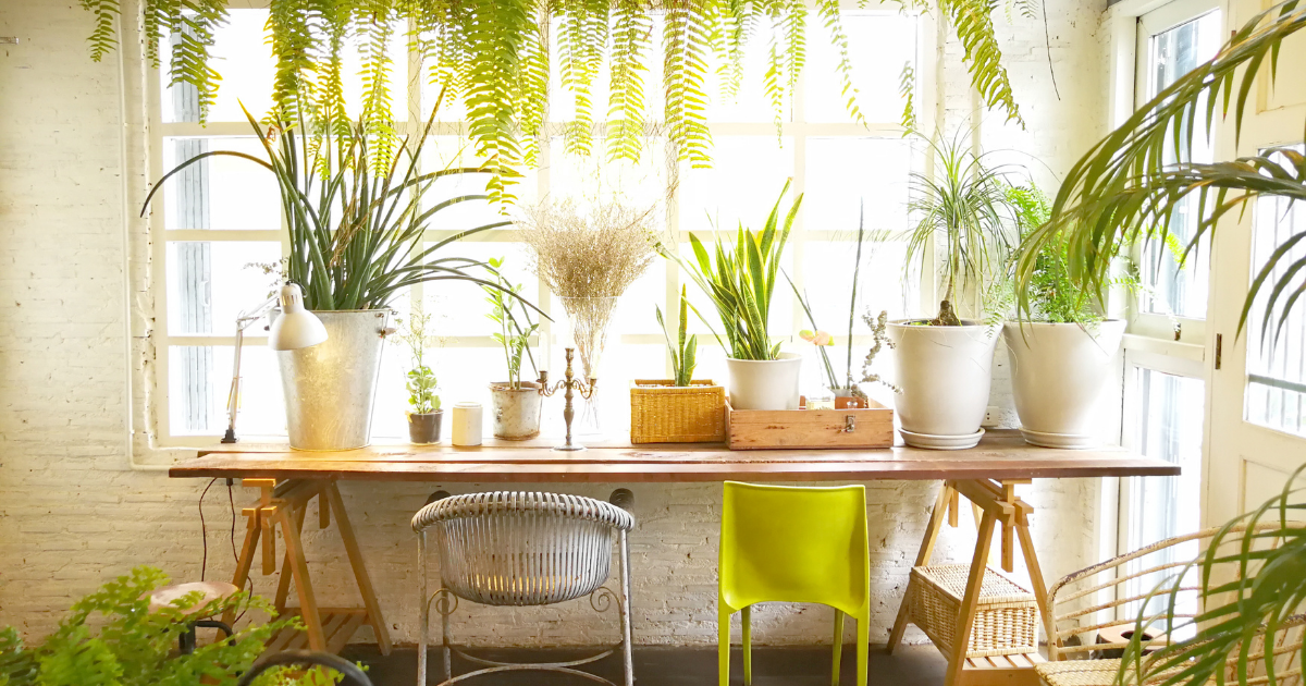 12星座每週塔羅運勢