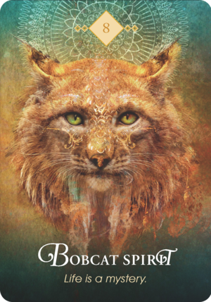 8.山貓之靈 Bobcat Spirit