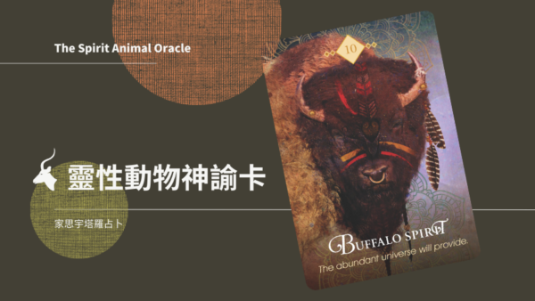10.水牛之靈 Buffalo Spirit