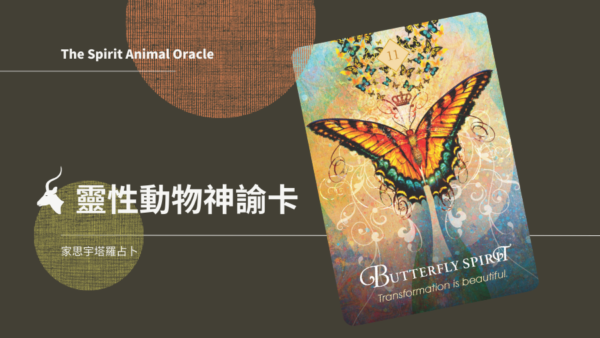 11.蝴蝶之靈 Butterfly Spirit