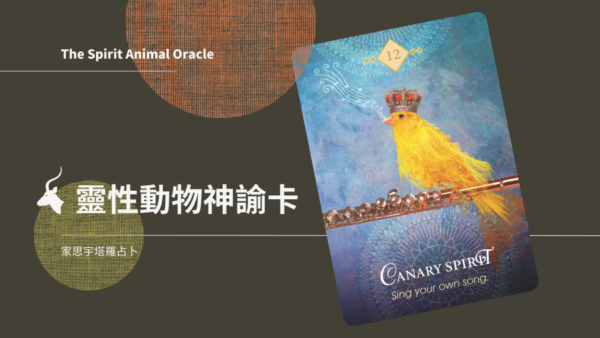 12.金絲雀之靈 Canary Spirit