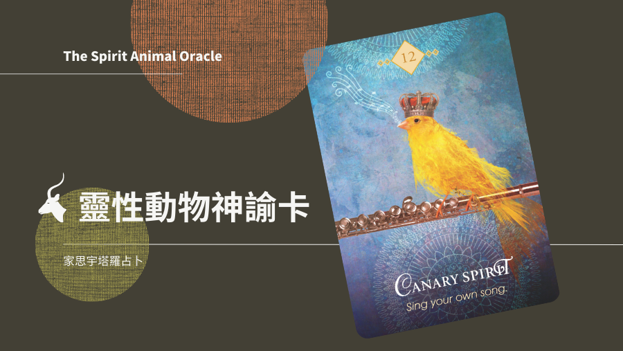 12.金絲雀之靈 Canary Spirit