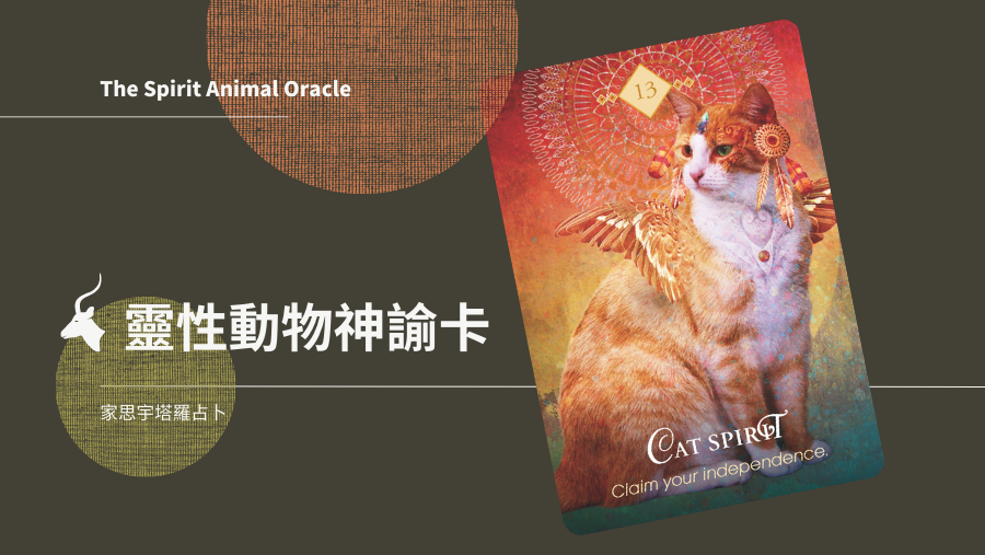 13.貓之靈 Cat Spirit