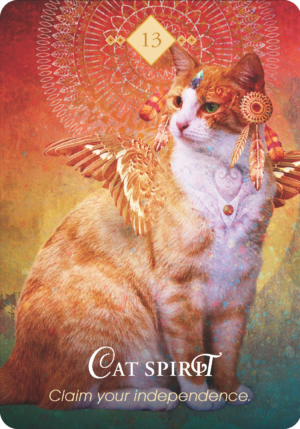 13.貓之靈 Cat Spirit