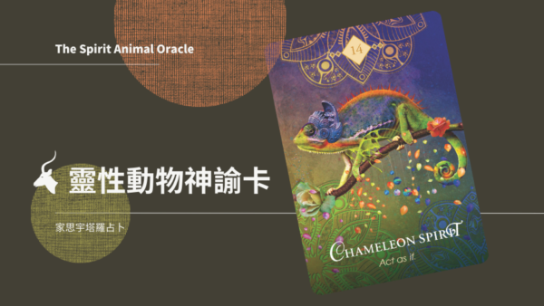 14.變色龍之靈 Chameleon Spirit