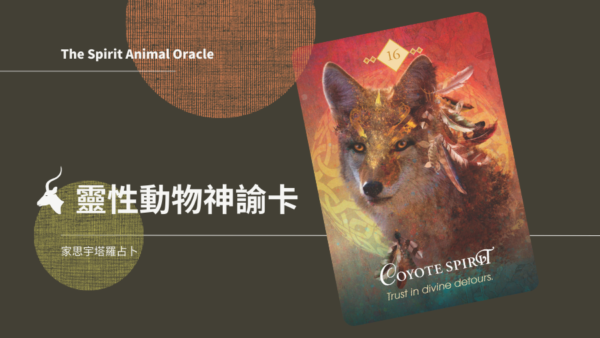 16.草原狼之靈 Coyote Spirit