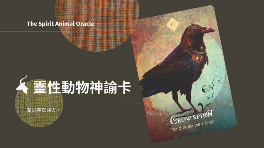 17.烏鴉之靈 Crow Spirit