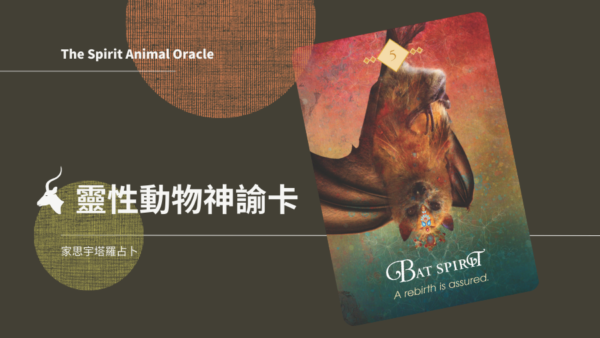 5.蝙蝠之靈Bat Spirit