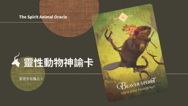 6.河狸之靈Beaver Spirit