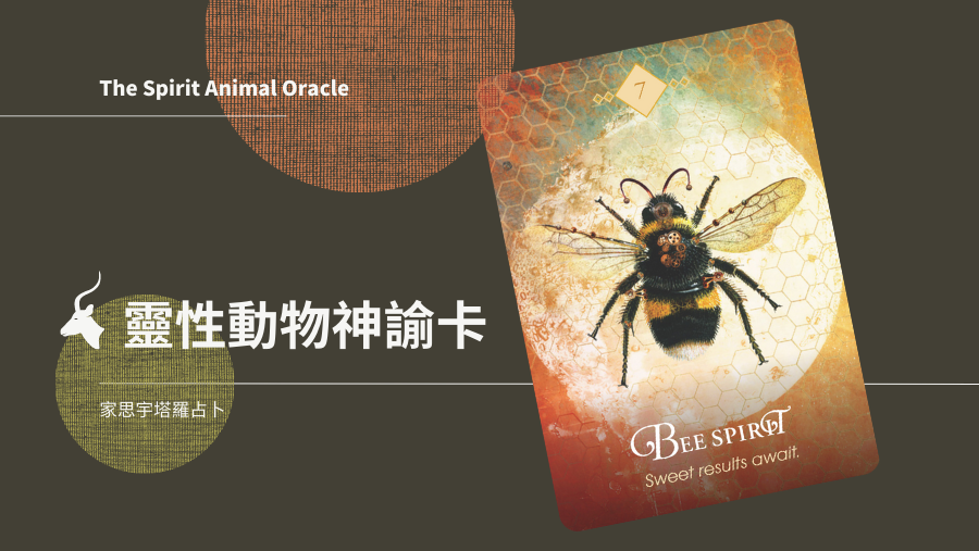 7.蜜蜂之靈 Bee Spirit