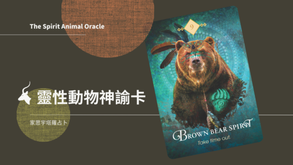 9.棕熊之靈 Brown Bear Spirit