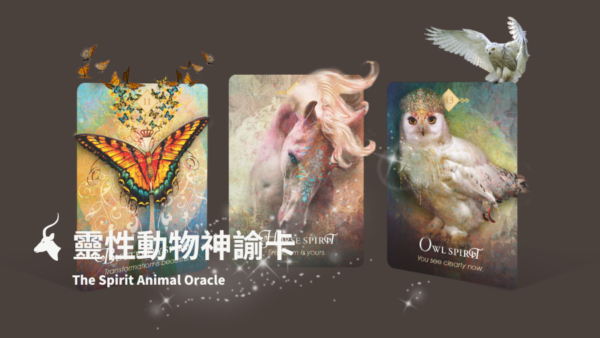 The Spirit Animal Oracle 靈性動物神諭卡