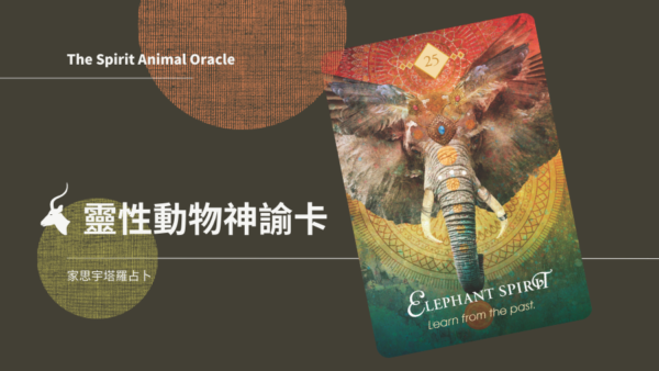 大象之靈 Elephant Spirit
