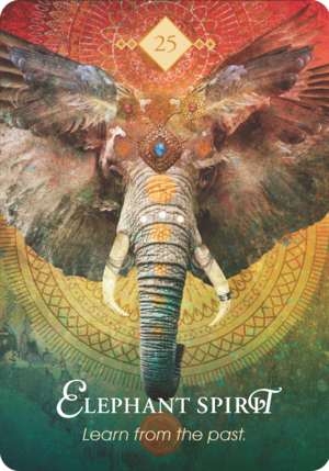 大象之靈 Elephant Spirit