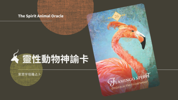 火烈鳥之靈 Flamingo Spirit