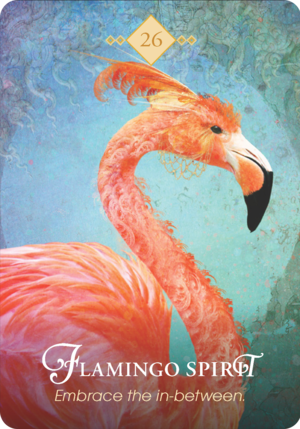火烈鳥之靈 Flamingo Spirit