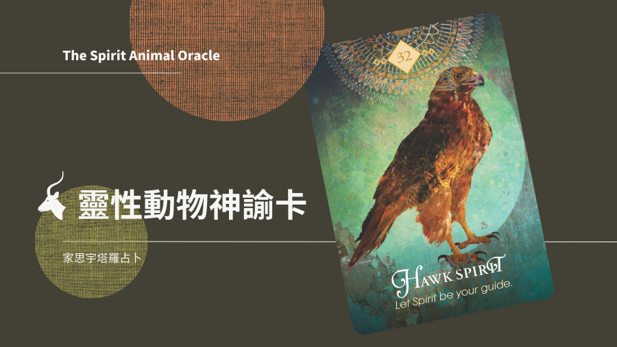 鷹之靈 Hawk Spirit