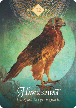 鷹之靈 Hawk Spirit