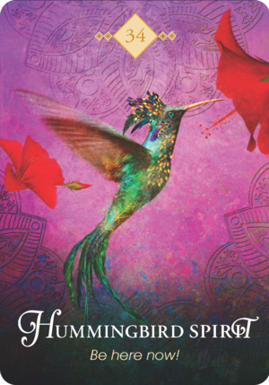 Hummingbird Spirit