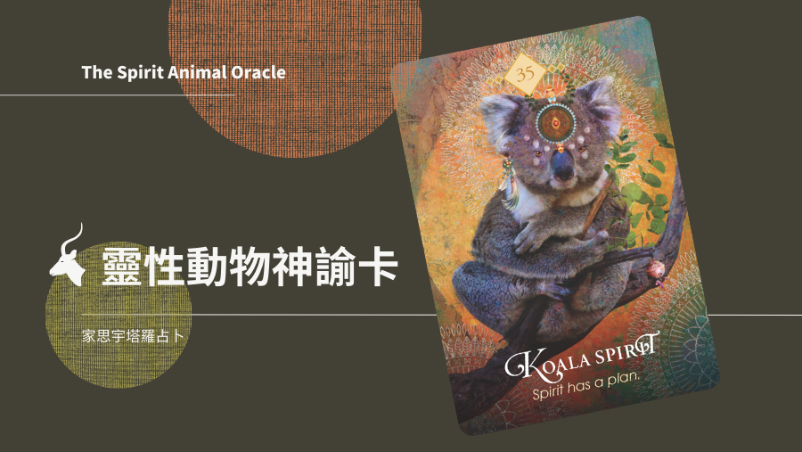 無尾熊之靈 Koala Spirit
