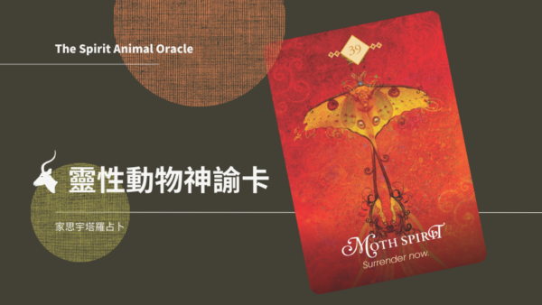 蛾之靈 Moth Spirit