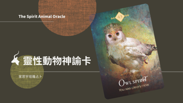 貓頭鷹之靈 Owl Spirit