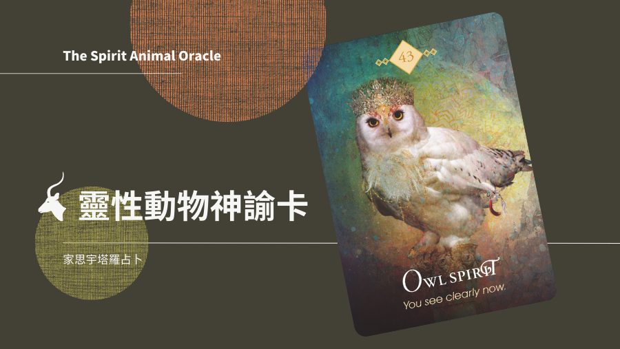 貓頭鷹之靈 Owl Spirit